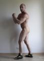 musclexboy Avatar