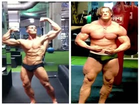 Transformation 250 to 305