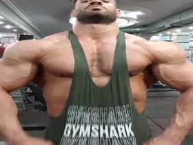 Mehdi Mehrabani: Gym Posing