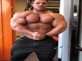 Alpha Muscle Beast