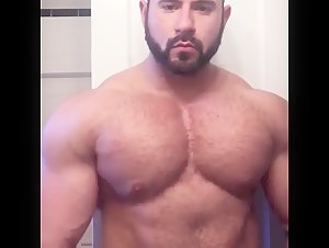 Muscle bear flex
