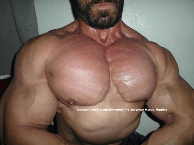 MUSCLE BEAR GREEK GOD WORSHIP WEBCAM