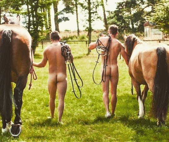 Butts With Horses