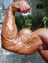 BICEP Wow!