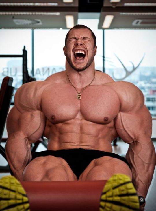 MALE BODYBUILDER.