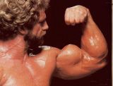musclebear52's Avatar