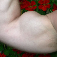 Bicepsbob's Avatar