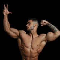 IlFalcione's Avatar