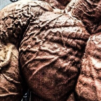 VascularMuacle's Avatar