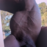 hrdmuscles's Avatar
