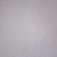 Bigtswolepumped's Avatar