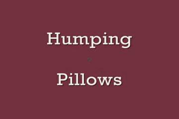 Humping Pillows