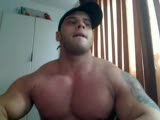 Webcam - Great Arms