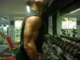 The Biceps