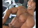 Muscle in gym