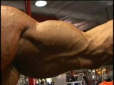 Mandeep Singh trains and poses biceps