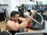 Big Biceps