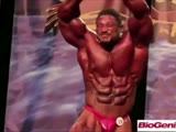 Roelly Takes Chicago