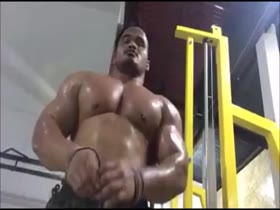 Thai muscle monster