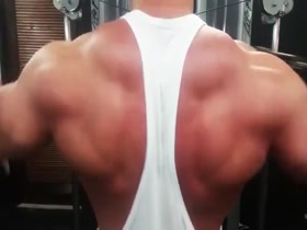 Back Shoulder