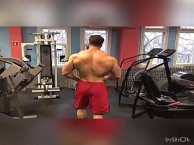 muscle back