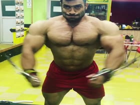 Eyni Hamed: Iranian Musclebull
