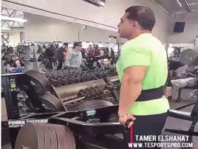 Tamer Elshahat - Shrugs (Trapezius Training - 2017)