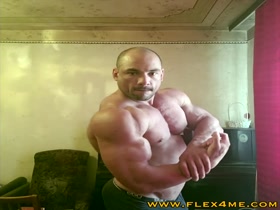 Huge n Massive Muscle Bull