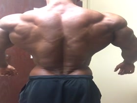 Wasp Waist and a Back like a Mountain Range of Muscle