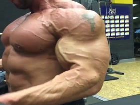 Pecs! Veins! Biceps! - it's almost too much