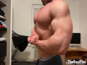 Zeecko - Totally Massive Muscles
