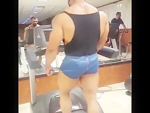 Beefy Bull on Treadmill