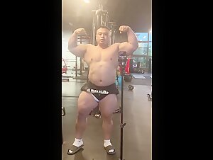 Heavy muscle bull