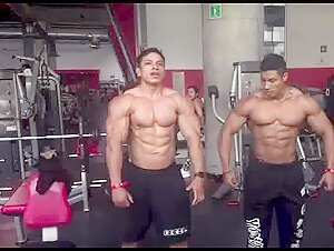 Gym Bros