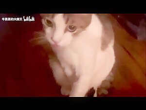 Thumb 9